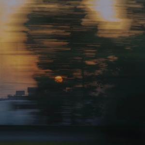 啪啪啪视频在线观看
